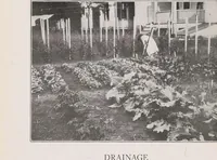 An illustration from Home vegetable gardening from A to Z, with special reference to Pacific coast conditions (1918)