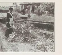 Picture 12 of 14 from Home vegetable gardening from A to Z, with special reference to Pacific coast conditions (1918), leaf 265