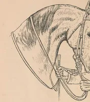 An illustration from Horsemanship for women (1887)