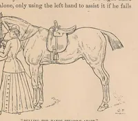Picture 2 of 4 from Horsemanship for women (1887), leaf 45