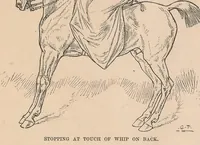 Picture 3 of 4 from Horsemanship for women (1887), leaf 57
