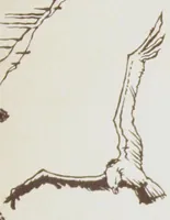 An illustration from How to finish California redwood. (1917)