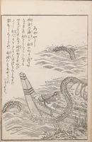 An illustration from Hyakki shūi (1805)
