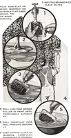 Picture 2 of 3 from Interior and exterior decoration: suggested decorative treatments for the home owner that beautify and protect. (1924), leaf 10
