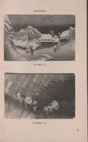 Picture 1 of 6 from The James Howard Kehler collection of Japanese color prints. (1918), leaf 16