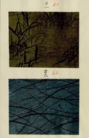 Picture 6 of 15 from [Japanese textile designs] (1700), leaf 14