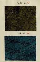 Picture 10 of 15 from [Japanese textile designs] (1700), leaf 23