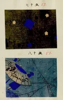 Picture 11 of 15 from [Japanese textile designs] (1700), leaf 32