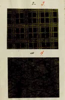 An illustration from [Japanese textile designs] (1700)