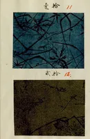 Picture 4 of 15 from [Japanese textile designs] (1700), leaf 9