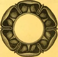An illustration from John McLean:Machinist:Manufacturer and Dealer in Cemetery Supplies (1893)