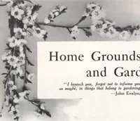 Picture 10 of 135 from Keith's magazine, June 1913 (1913), leaf 16