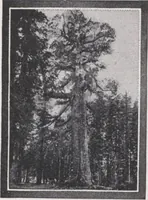An illustration from Keith's magazine, october 1917 (1917)