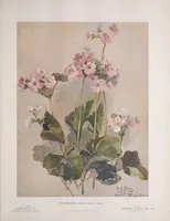 An illustration from Keramic studio (1899)