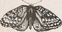 An illustration from Keramic studio (1899)