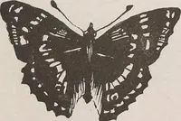 An illustration from Keramic studio (1899)