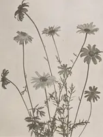 An illustration from Keramic studio (1899)