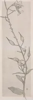 An illustration from Keramic studio (1899)