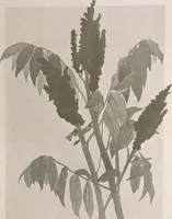 An illustration from Keramic studio (1899)