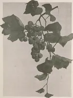 An illustration from Keramic studio (1899)