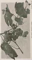 An illustration from Keramic studio (1899)