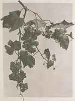 An illustration from Keramic studio (1899)