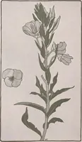 An illustration from Keramic studio (1899)