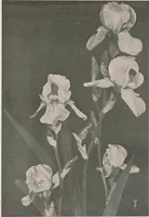 An illustration from Keramic studio (1899)