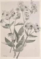 An illustration from Keramic studio (1899)