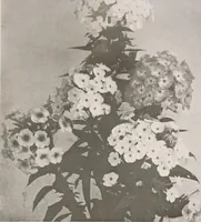 An illustration from Keramic studio (1899)