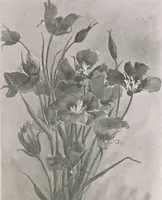 An illustration from Keramic studio (1899)