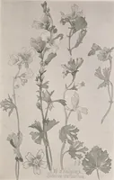 An illustration from Keramic studio (1899)