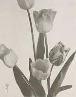 An illustration from Keramic studio (1899)