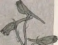 An illustration from Keramic studio (1899)