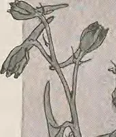 An illustration from Keramic studio (1899)