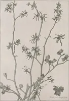 An illustration from Keramic studio (1899)