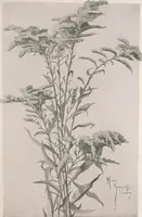 An illustration from Keramic studio (1899)