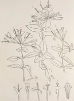 An illustration from Keramic studio (1899)