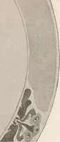 An illustration from Keramic studio (1899)