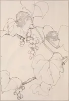 An illustration from Keramic studio (1899)