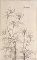 An illustration from Keramic studio (1899)