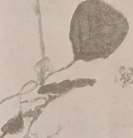An illustration from Keramic studio (1899)