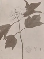 An illustration from Keramic studio (1899)