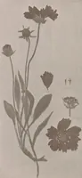 An illustration from Keramic studio (1899)