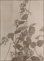 An illustration from Keramic studio (1899)