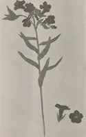 An illustration from Keramic studio (1899)