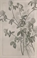 An illustration from Keramic studio (1899)