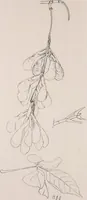 An illustration from Keramic studio (1899)