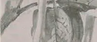 An illustration from Keramic studio (1899)