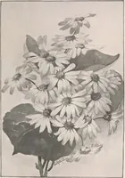 An illustration from Keramic studio (1899)